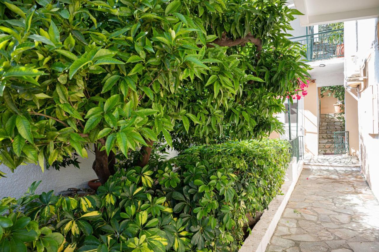 Villa Sofia Sea View Poros Town Exteriér fotografie
